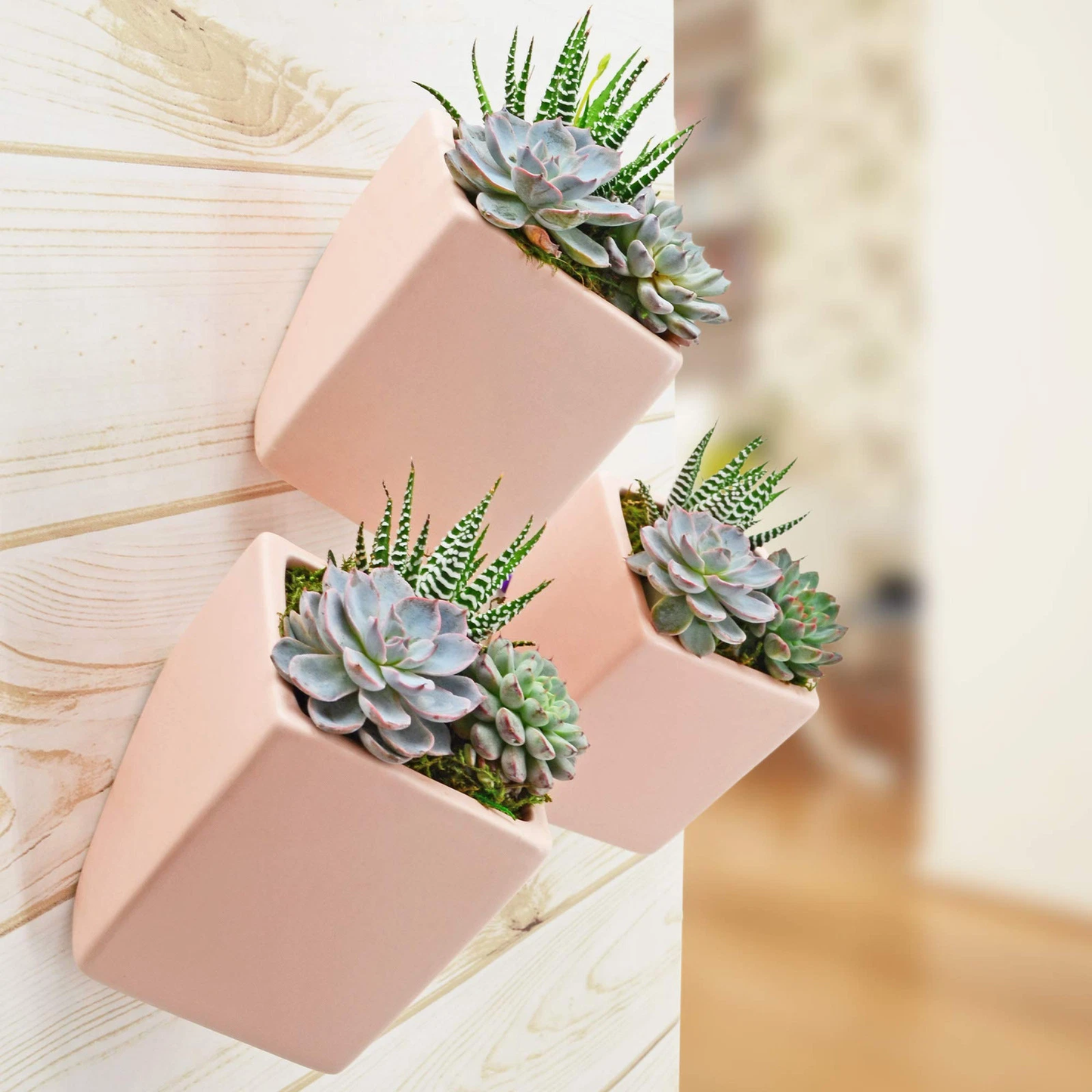 Cube Wall Planter - Coral Pink - New in Box - Arcadia Garden Products 4" tall cube