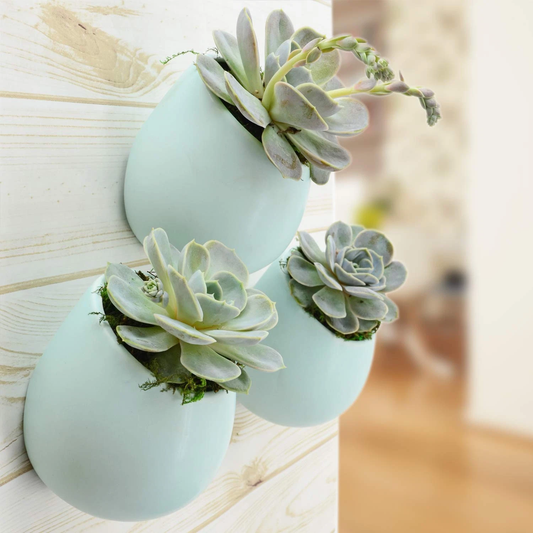 Mint Green Large Round Wall Planter - Vertical Gardening by Arcadia 6.2" tall