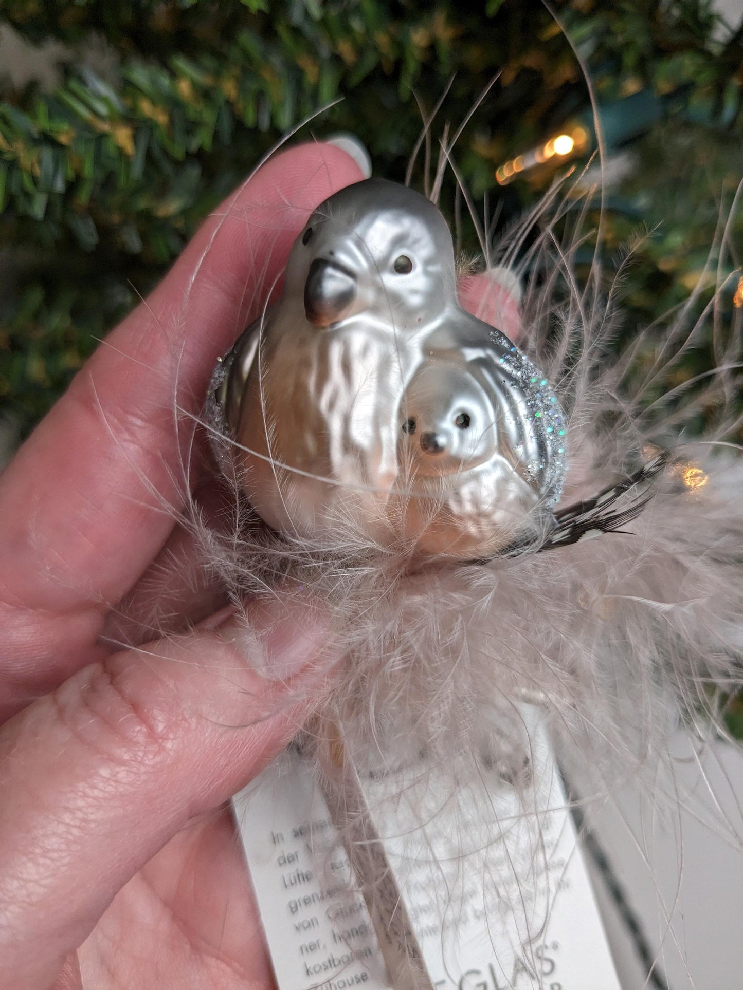 NEW 'Cuddle Time' Bird Clip Inge Glas Christmas Ornament