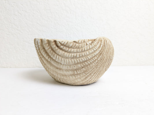 Small Seashell Cement Planter for Nautical and Boho Indoor Decorating