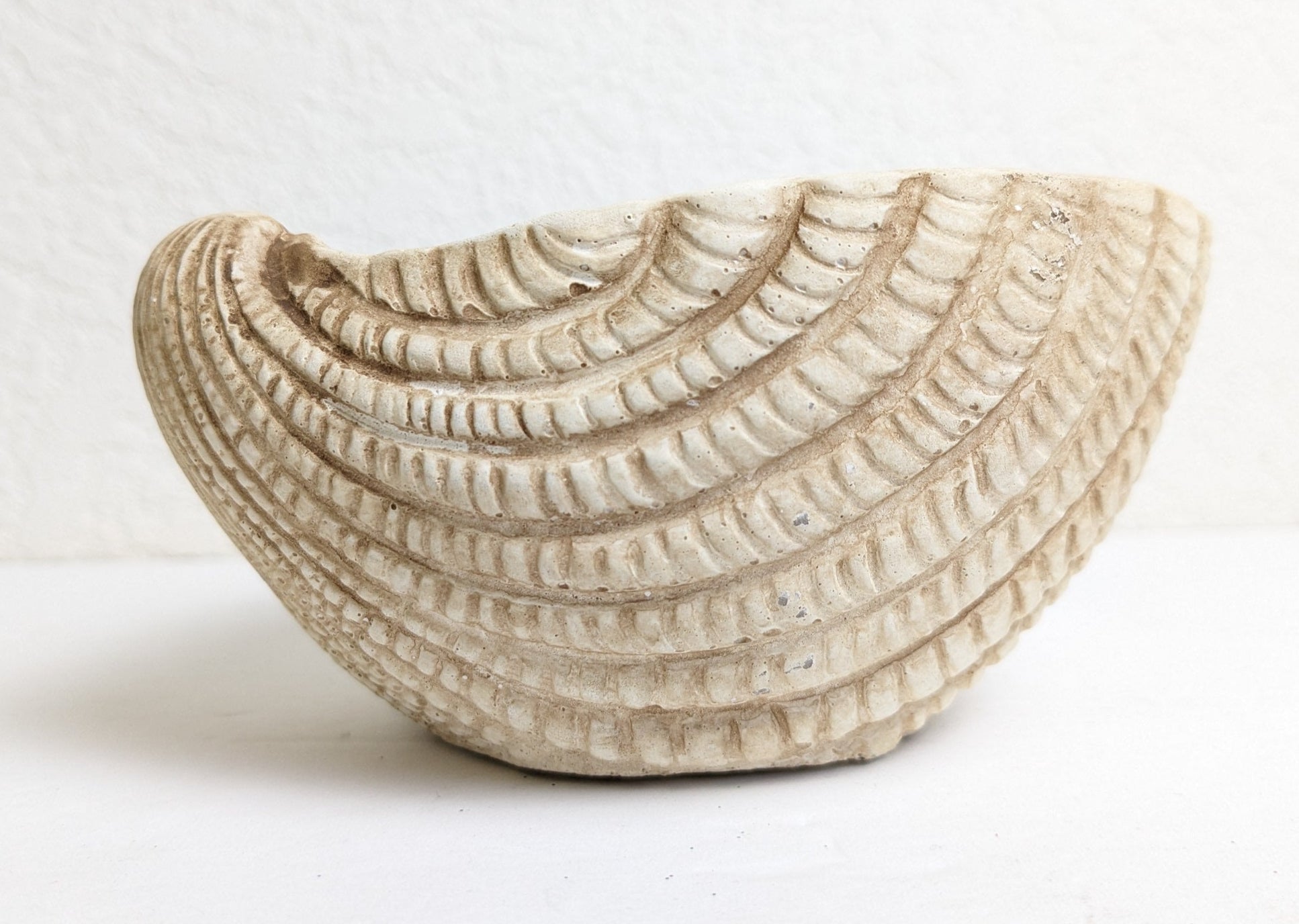 Small Seashell Cement Planter for Nautical and Boho Indoor Decorating
