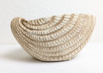 Small Seashell Cement Planter for Nautical and Boho Indoor Decorating