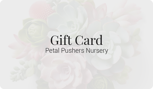 Petal Pushers Nursery Gift Card