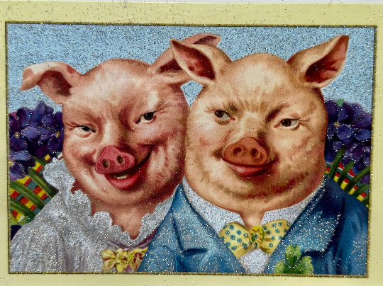 Old World Christmas Pig Cards