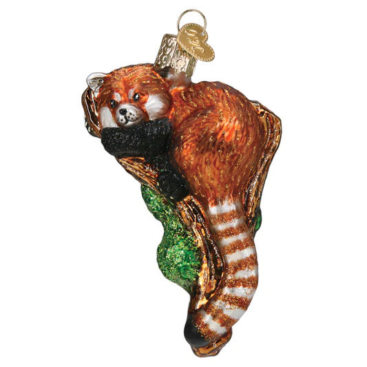 Red Panda - Hand Painted Blown Glass Tree Ornament by Old World Christmas