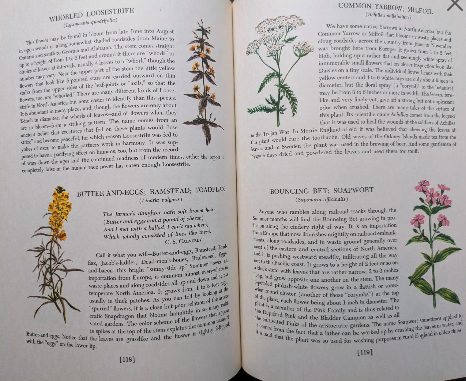 An Introduction To Nature Book 1966 John Kieran