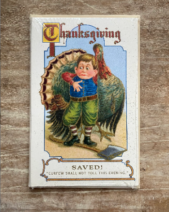 Thanksgiving Saved Turkey Old World Christmas Card