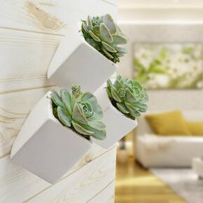 Cube Wall Planter - White - New In Box - Arcadia Garden Products 6" tall cube