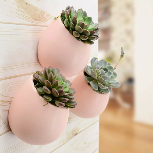 Coral Pink Small Round Wall Planter - Vertical Gardening by Arcadia 5.2" tall