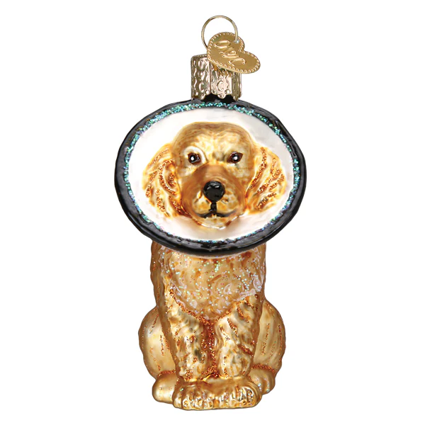 Cone Of Shame for Dog Veterinarian Trip Blown Glass Tree Ornament by Old World Christmas