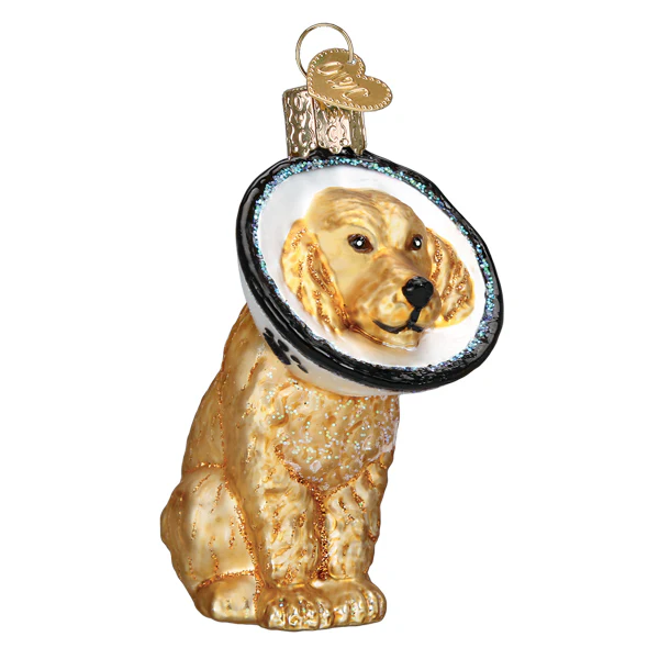 Cone Of Shame for Dog Veterinarian Trip Blown Glass Tree Ornament by Old World Christmas