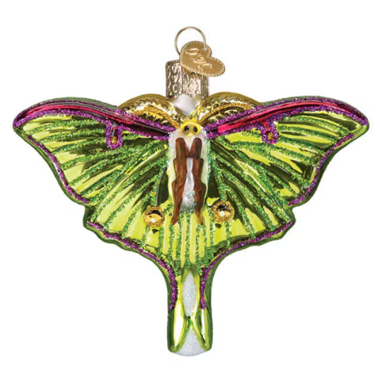 Luna Moth Old World Christmas Ornament