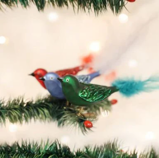 Brilliant Songbirds Old World Christmas Ornament