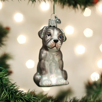 Pitbull puppy Old World Christmas Ornament Pit bull puppy