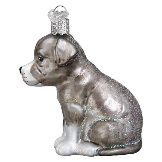 Pitbull puppy Old World Christmas Ornament Pit bull puppy