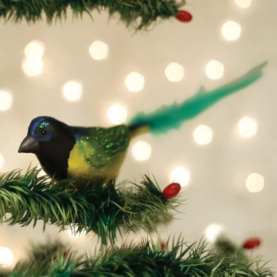 Green Jay Old World Christmas Ornament