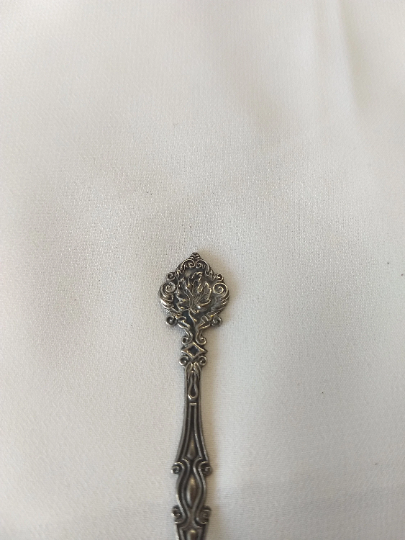 Vintage Banff Canada Silver Spoon