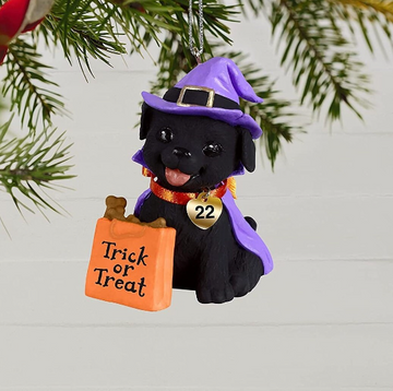 Puppy Love Howl-O-Ween - Hallmark Keepsake Ornament 2022