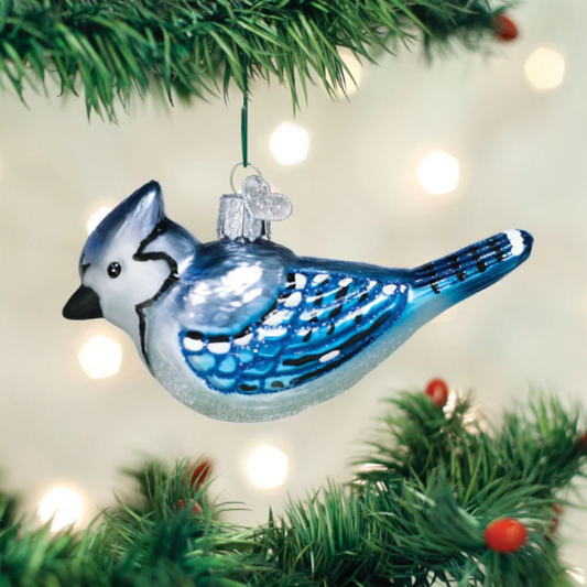 Blue Jay Old World Christmas Glass Ornament