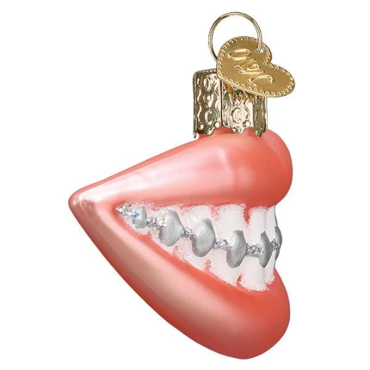 Smile with Braces Old World Christmas Funny Blown Glass Hand Painted Tree Ornament