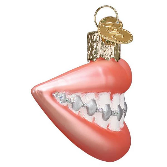 Smile with Braces Funny Orthodontics Blown Glass Tree Ornament by Old World Christmas