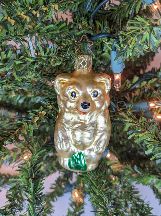 Gold Bear Retired Old World Christmas Inge Glas Ornament