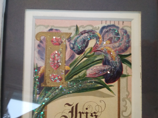 Vintage early 1900's Vintage Framed Iris Postcard