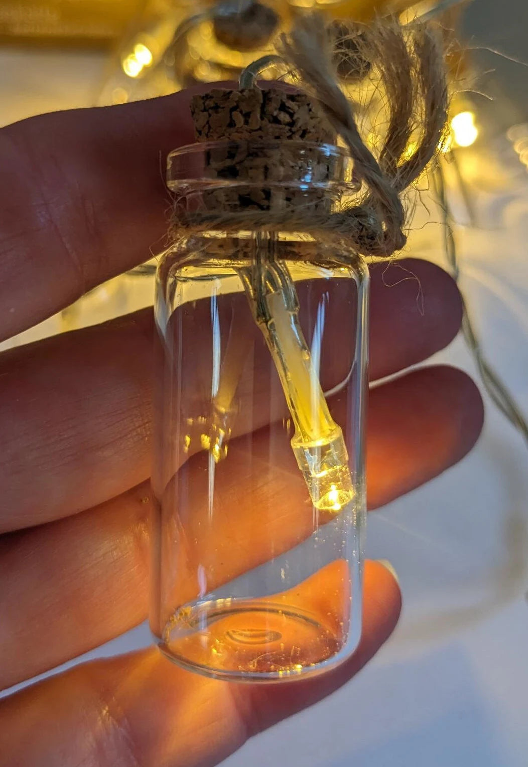 Lumineo Indoor Glass Jar String Lights