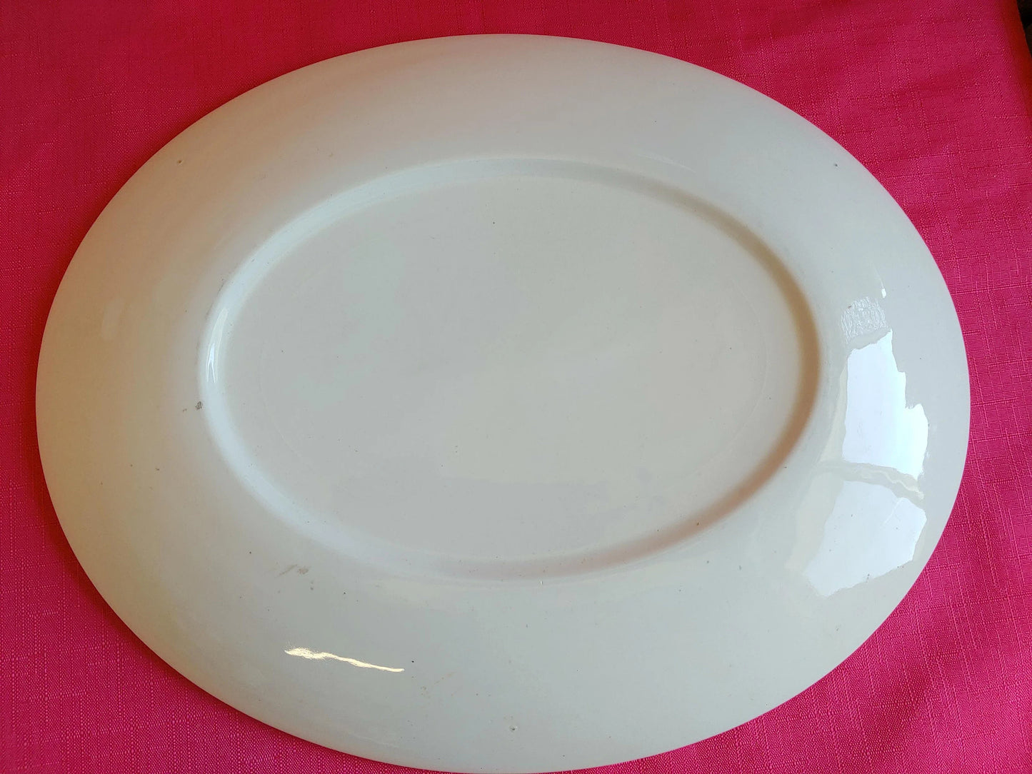 Vintage Turkey Serving Platter