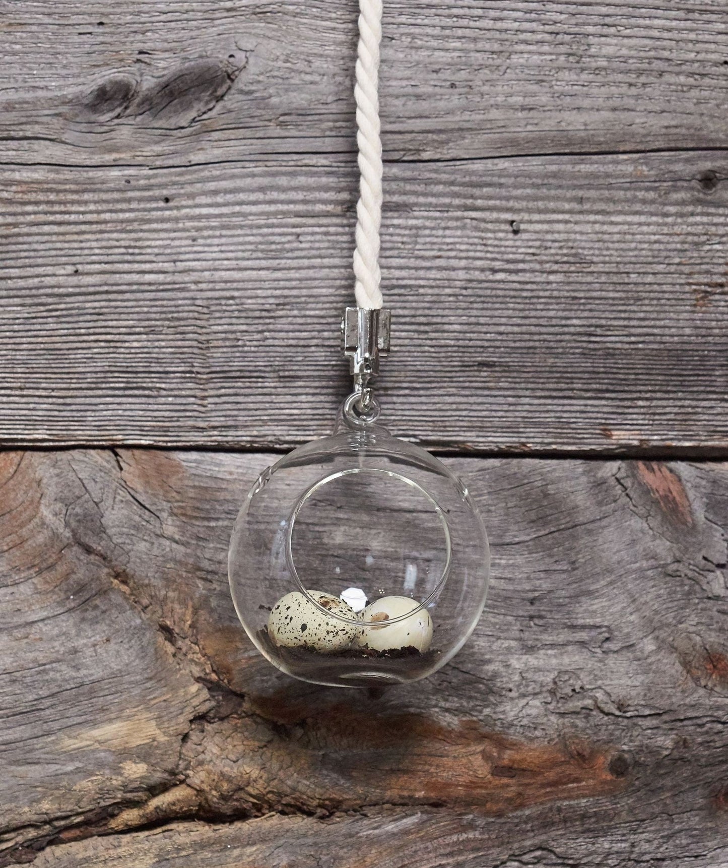 Mini Blown Glass Hanging Terrarium Planter - 4 inches