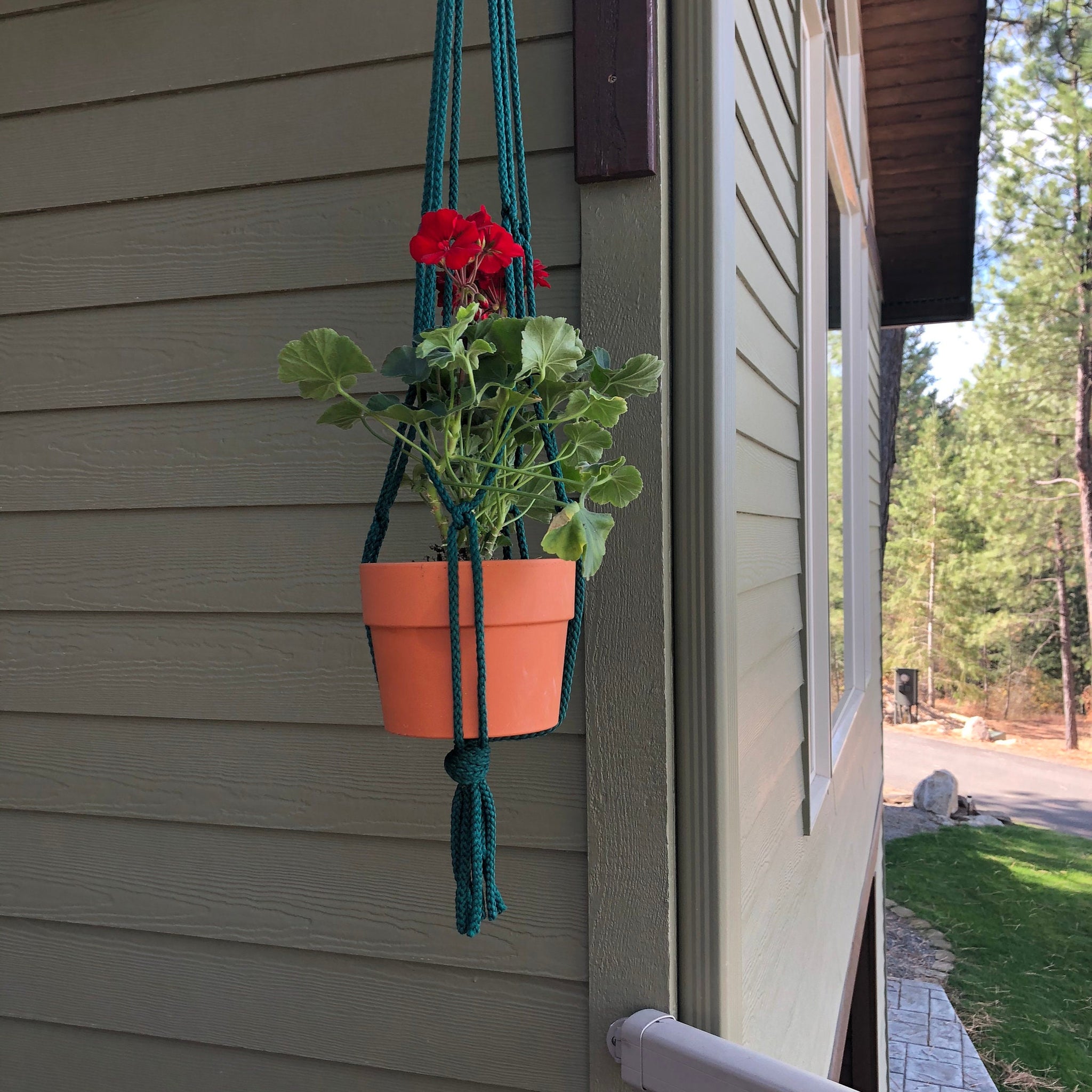 Macrame Hanging Planter in Dark Green, Light Brown, Dark Brown, Green, White, Rust, Dark Blue, Black, Free Shipping