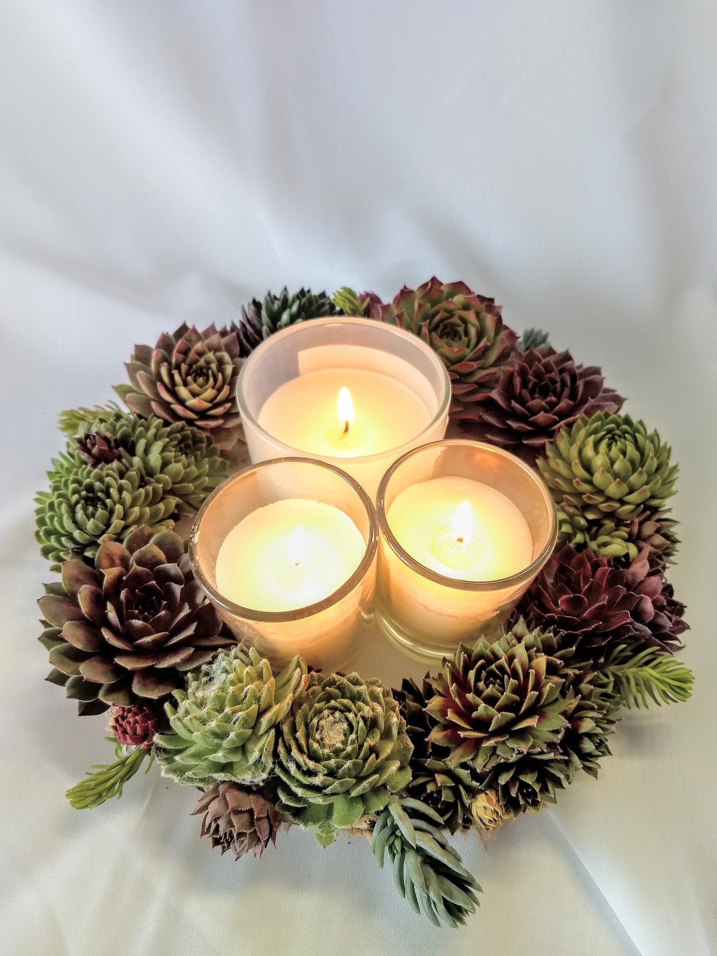 Live Succulent Gift Wreath Center Piece, Door Wreath