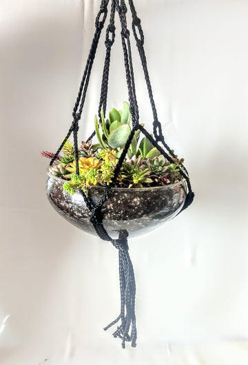 Succulent Terrarium Hanging Planter - Black or Green Macrame Hanger Live Succulent Plants