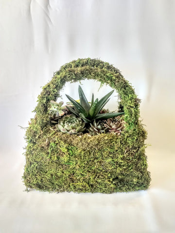 Moss Purse Succulent Planter