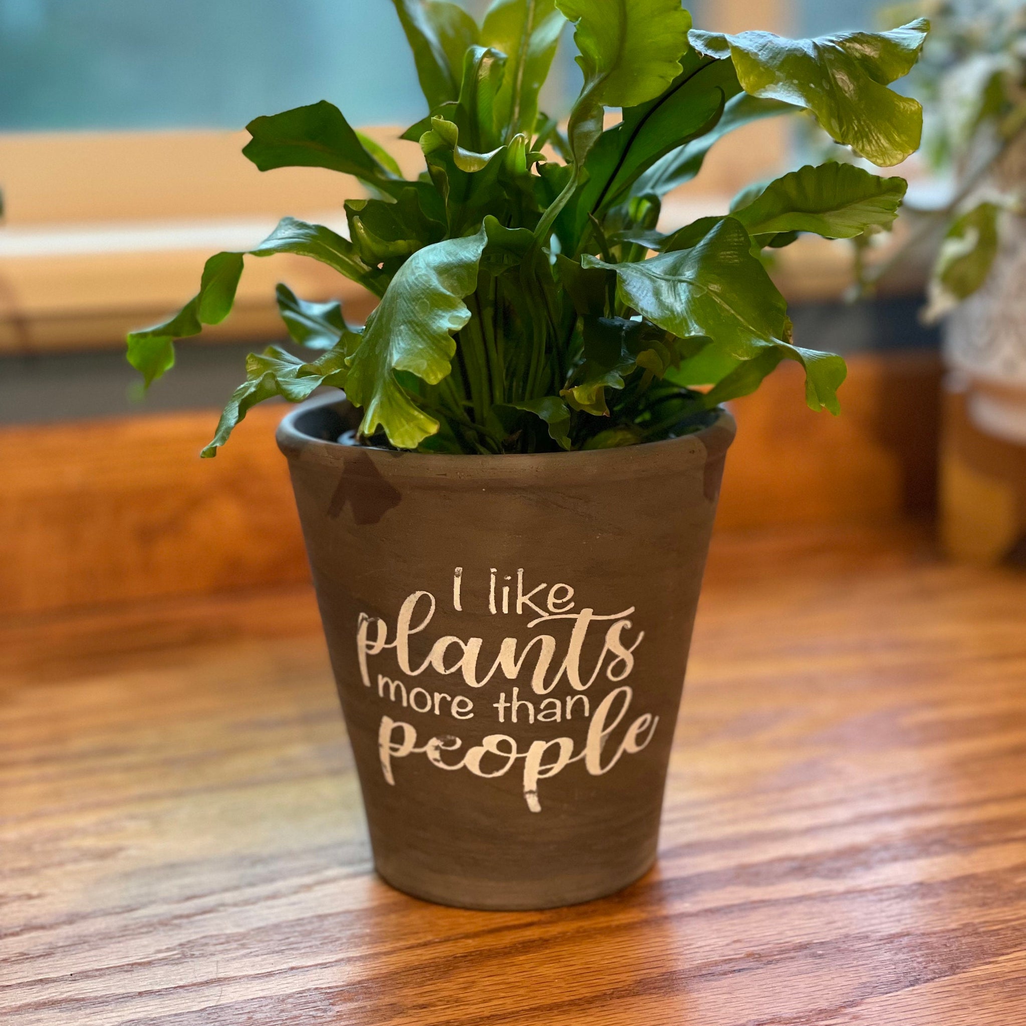 I Like Plants More Than People Ceramic planter Gray Brown Planter