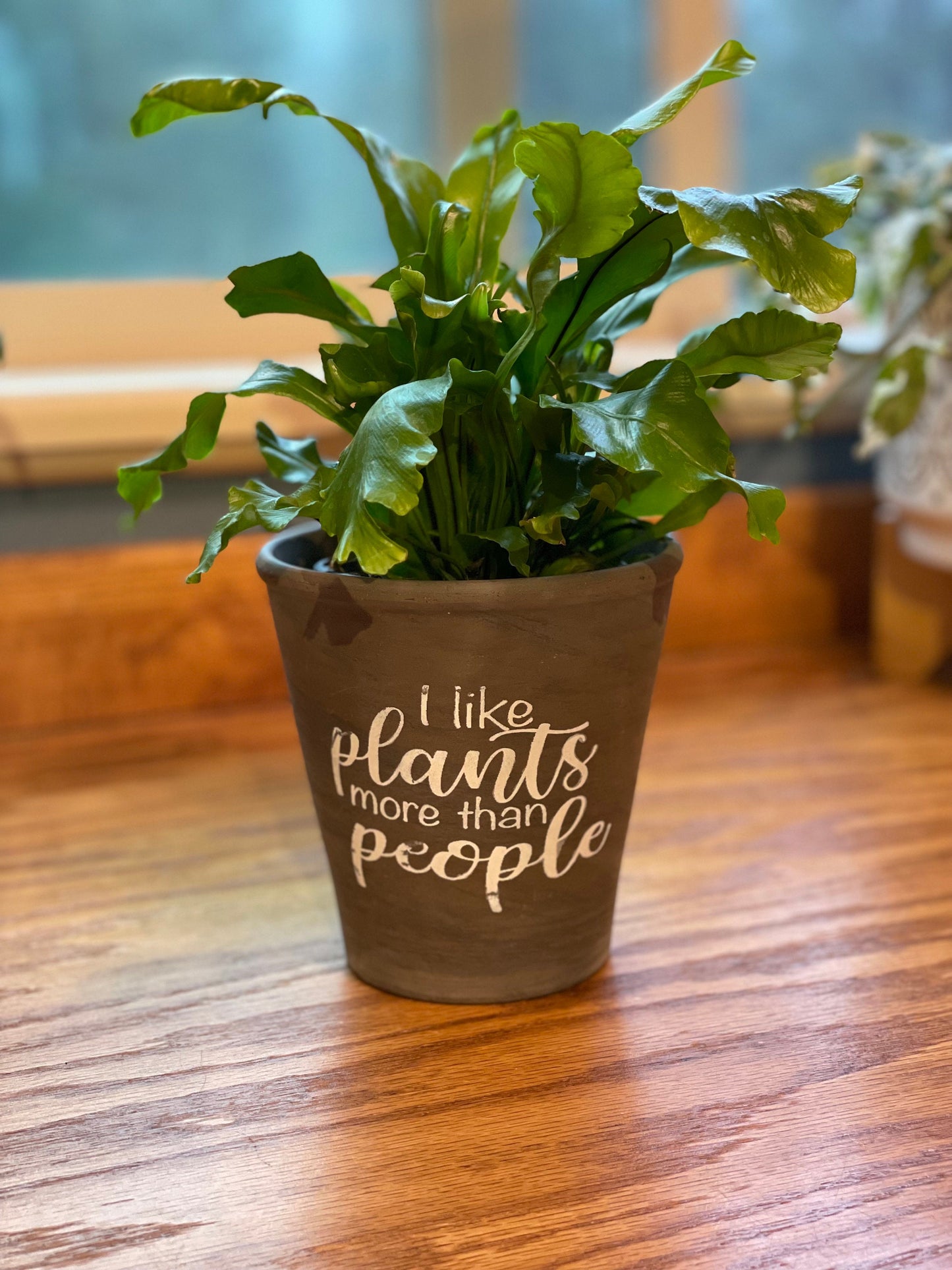 I Like Plants More Than People Ceramic planter Gray Brown Planter