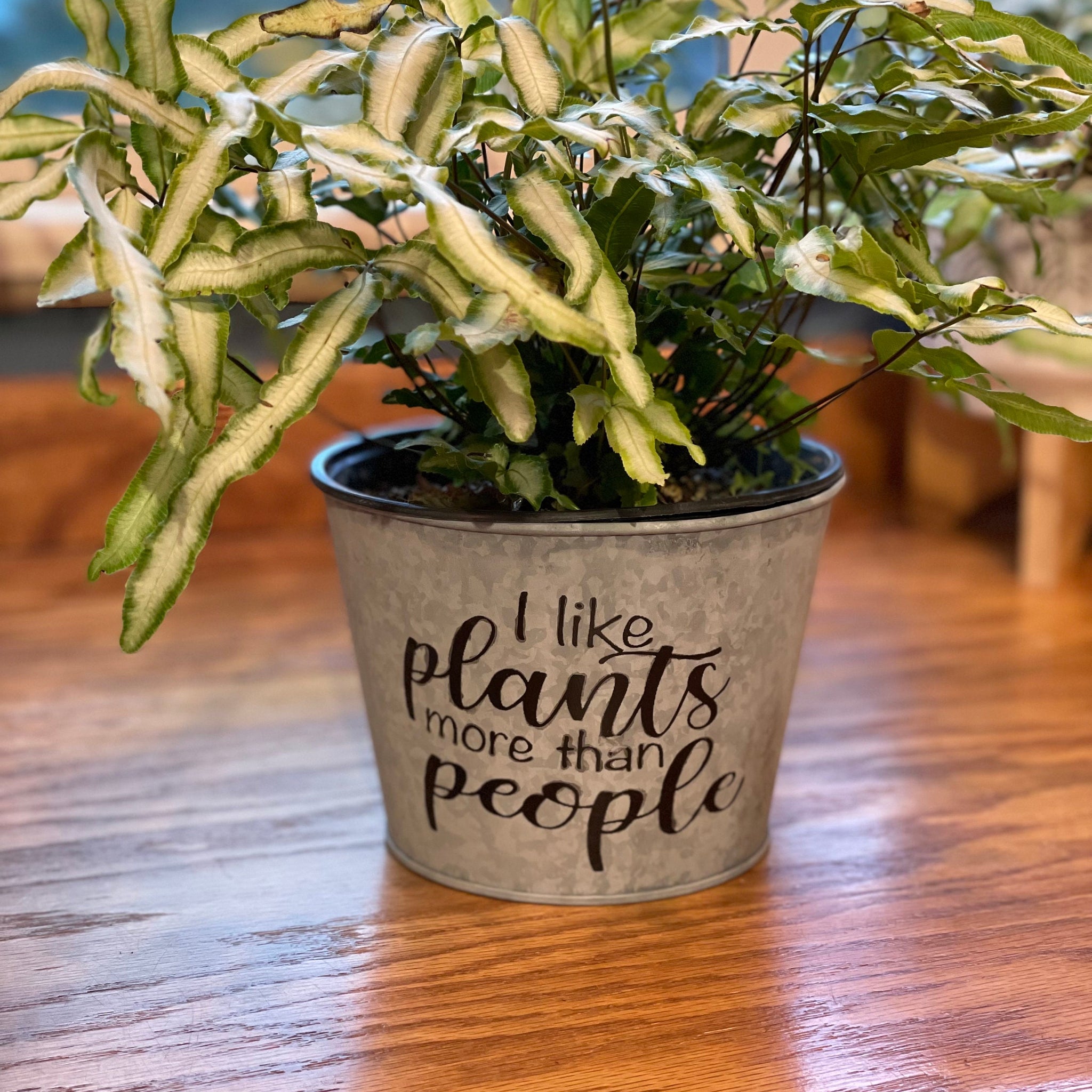 I Like Plants More Than People Stenciled Galvanized Planter