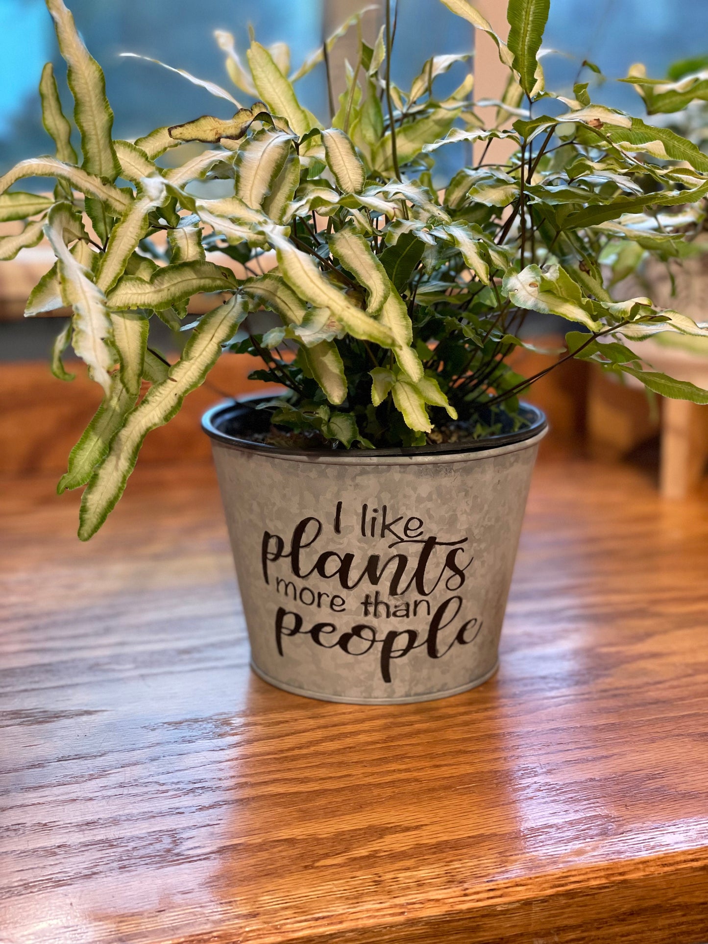 I Like Plants More Than People Stenciled Galvanized Planter