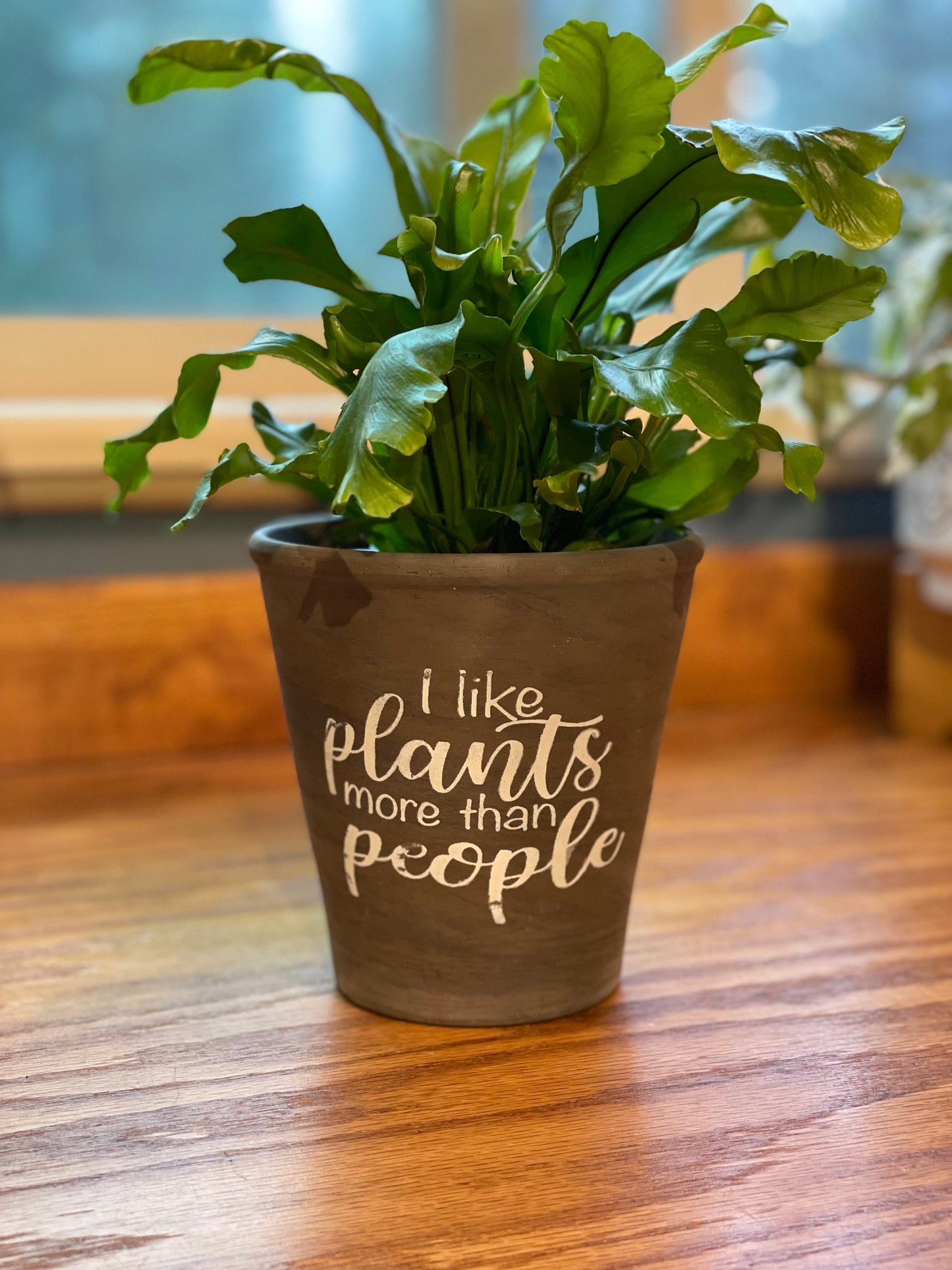 I Like Plants More Than People Ceramic planter Gray Brown Planter