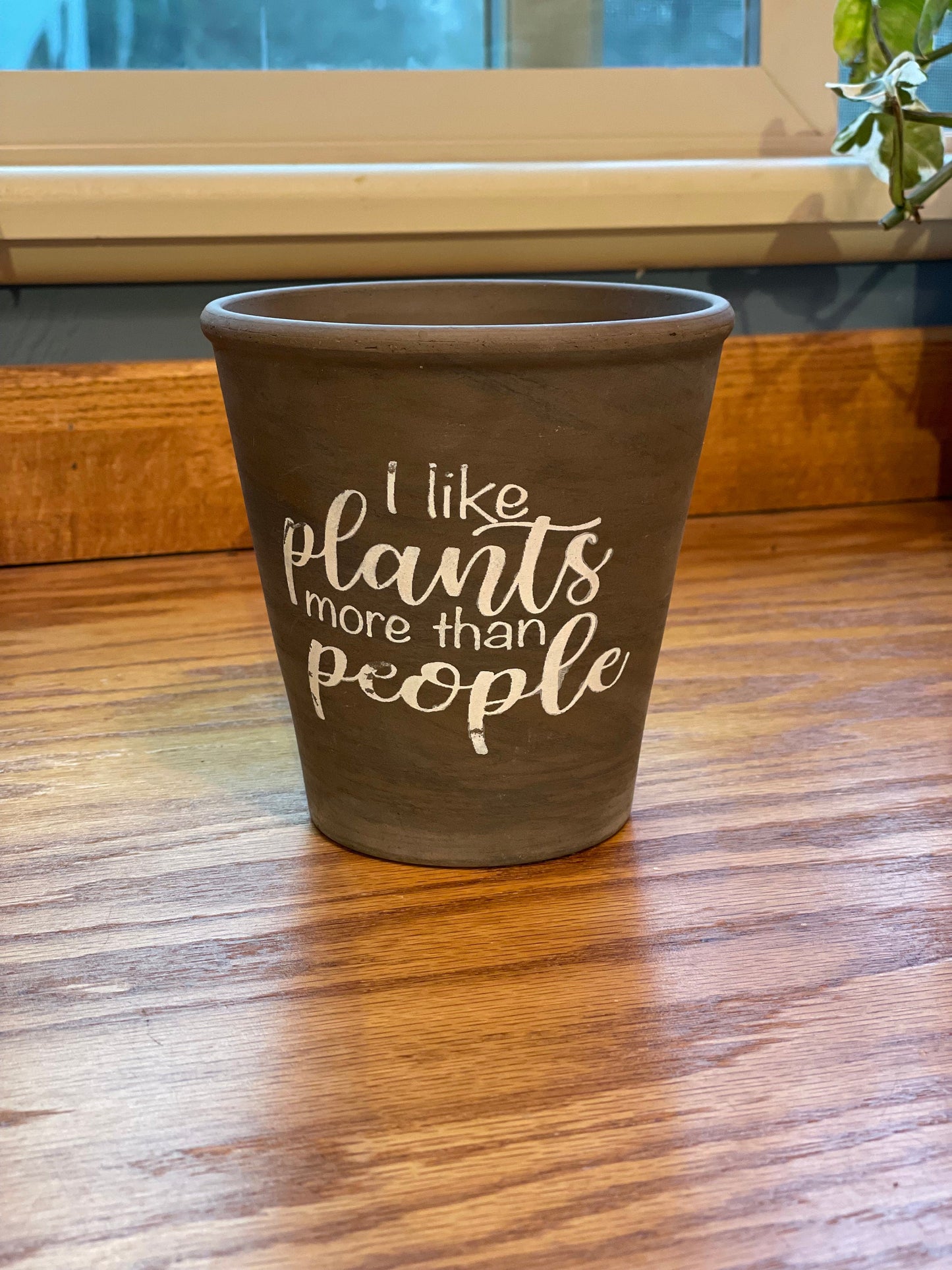 I Like Plants More Than People Ceramic planter Gray Brown Planter