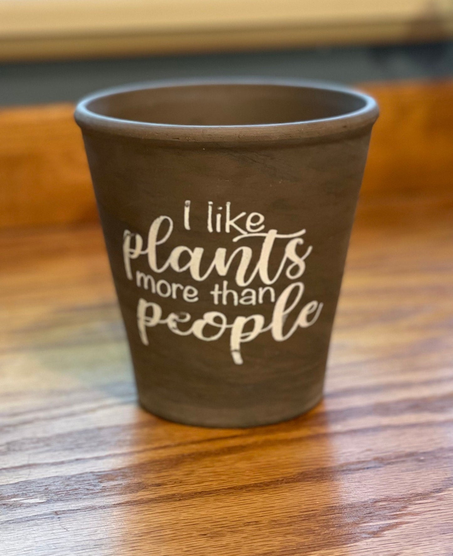 I Like Plants More Than People Ceramic planter Gray Brown Planter