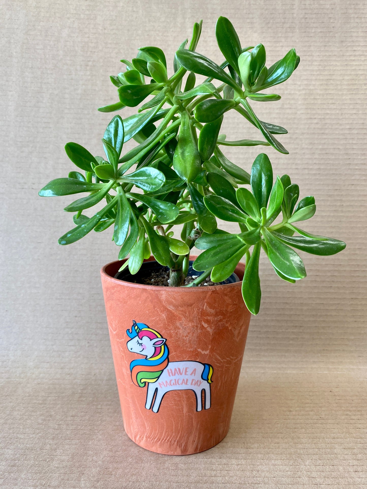 Unicorn Planter