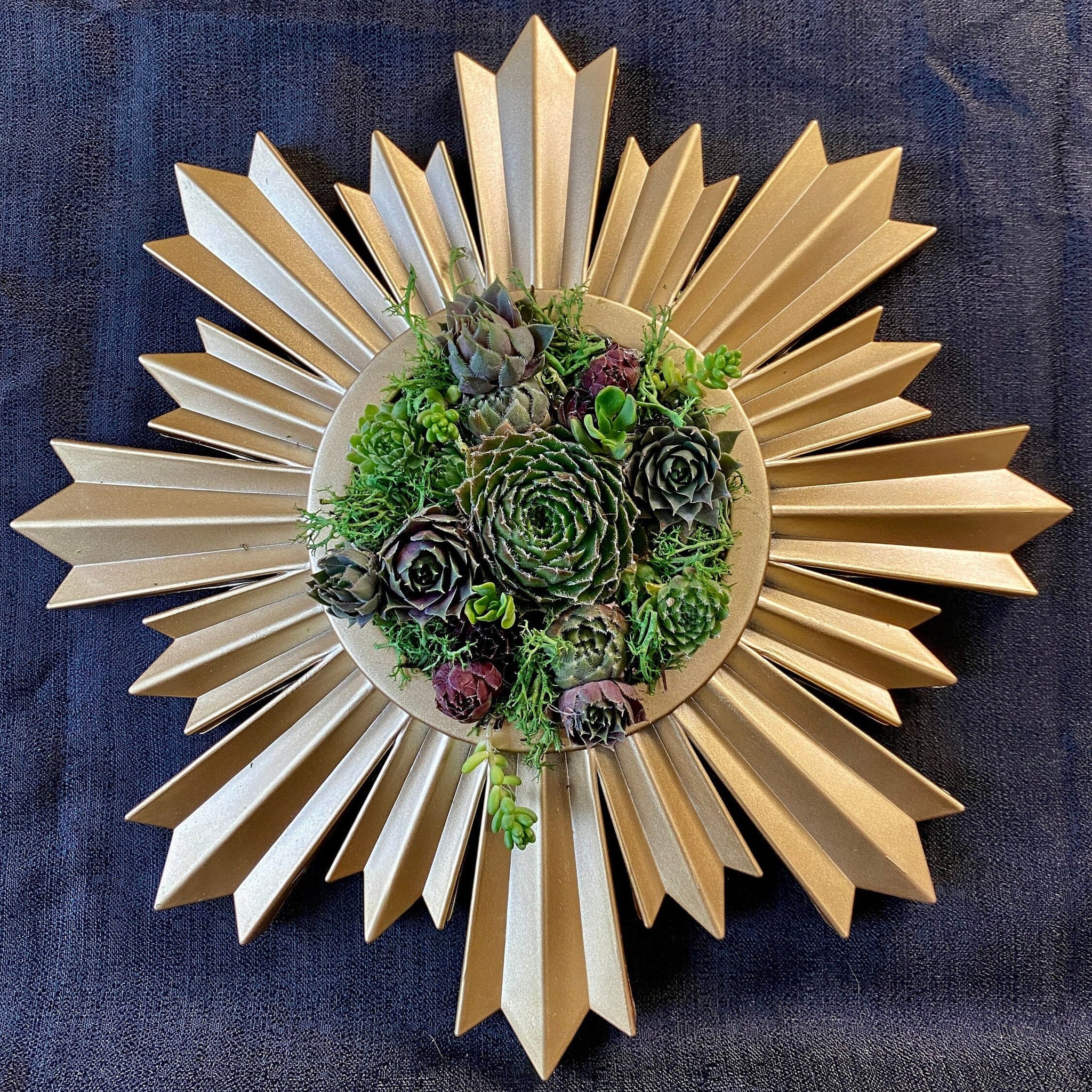 Live Succulent Vertical Gardening in Gold Spiked Frame 9.5"